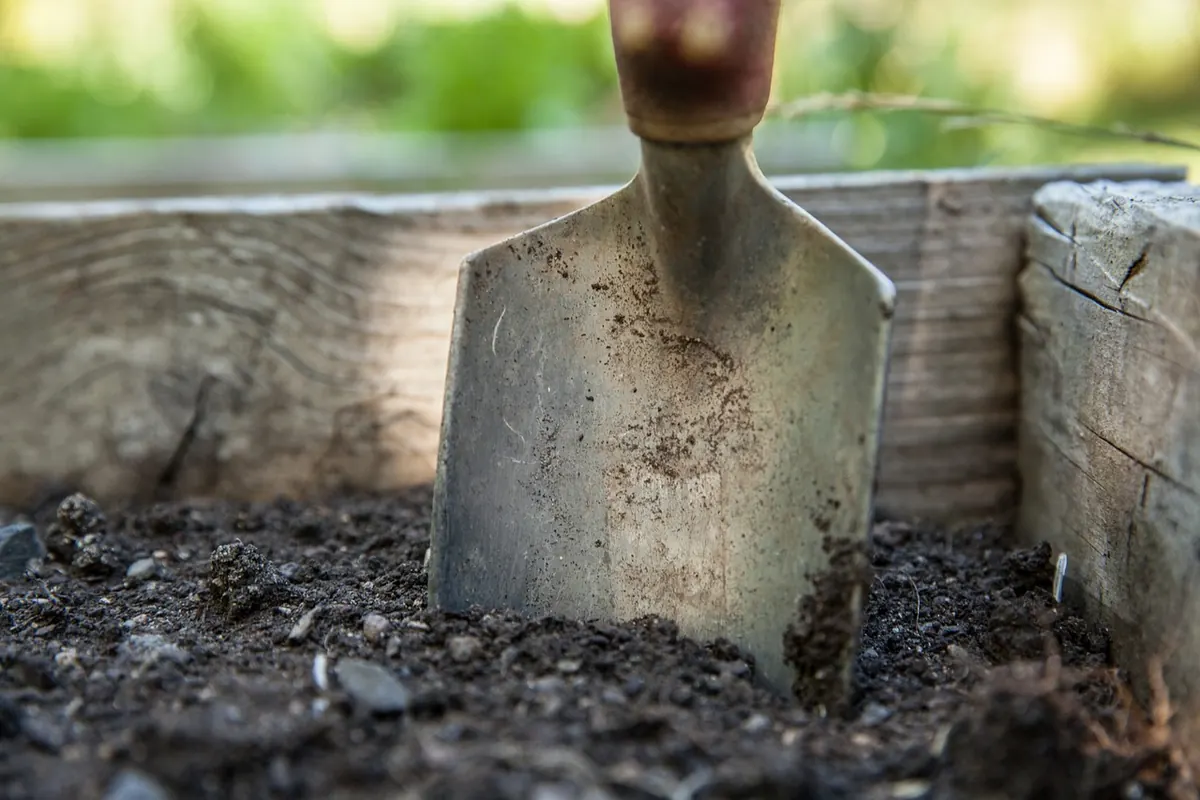 The 10-Point Spring Garden Clean-Up Checklist for Small UK Gardens